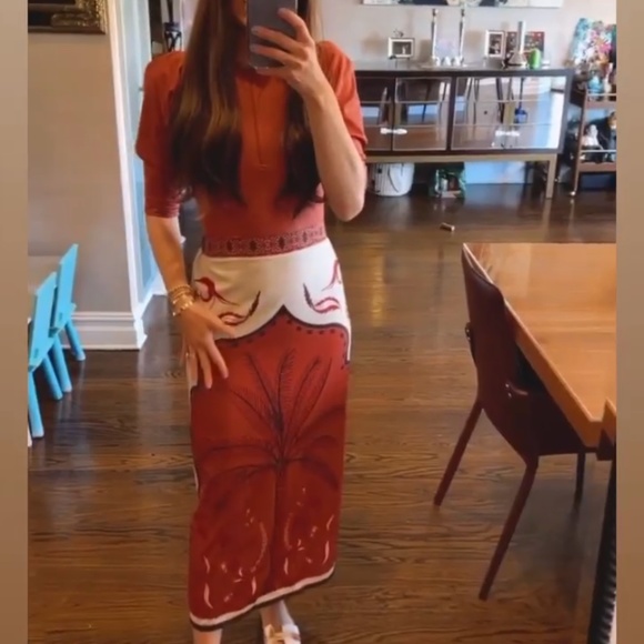 Formentara swim terracotta modest swim skirt and top set - Picture 4 of 6